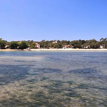 Tahaa Avec Piscine Chauffee A Hossegor Villa