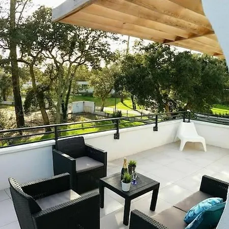 Tahaa Avec Piscine Chauffee A Hossegor 别墅 索尔特奥瑟戈尔